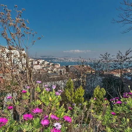 Suitel Bosphorus Taksim ホテル 3*