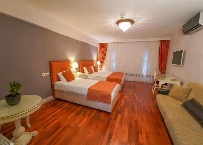 Suitel Bosphorus Taksim ホテル 3*