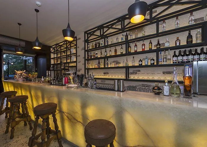 Suitel Bosphorus Taksim ホテル イスタンブール